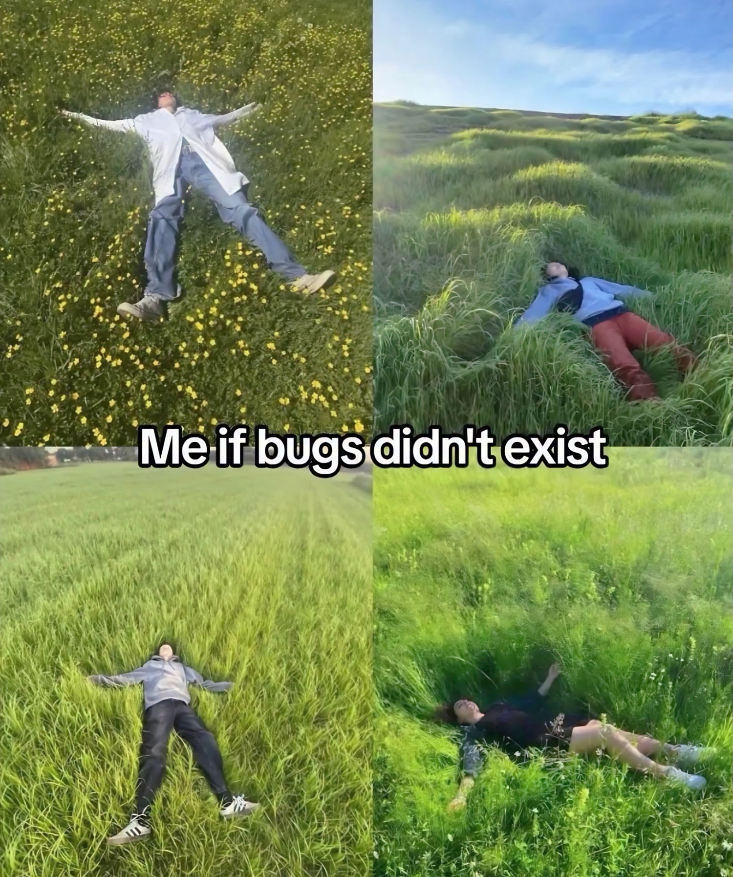Meme collage showing people lying peacefully in tall grass with the caption “Me if bugs didn’t exist”