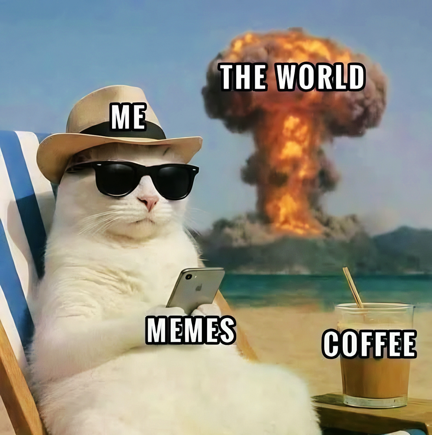 Meme of a cat in sunglasses relaxing with coffee and memes while the world explodes behind it