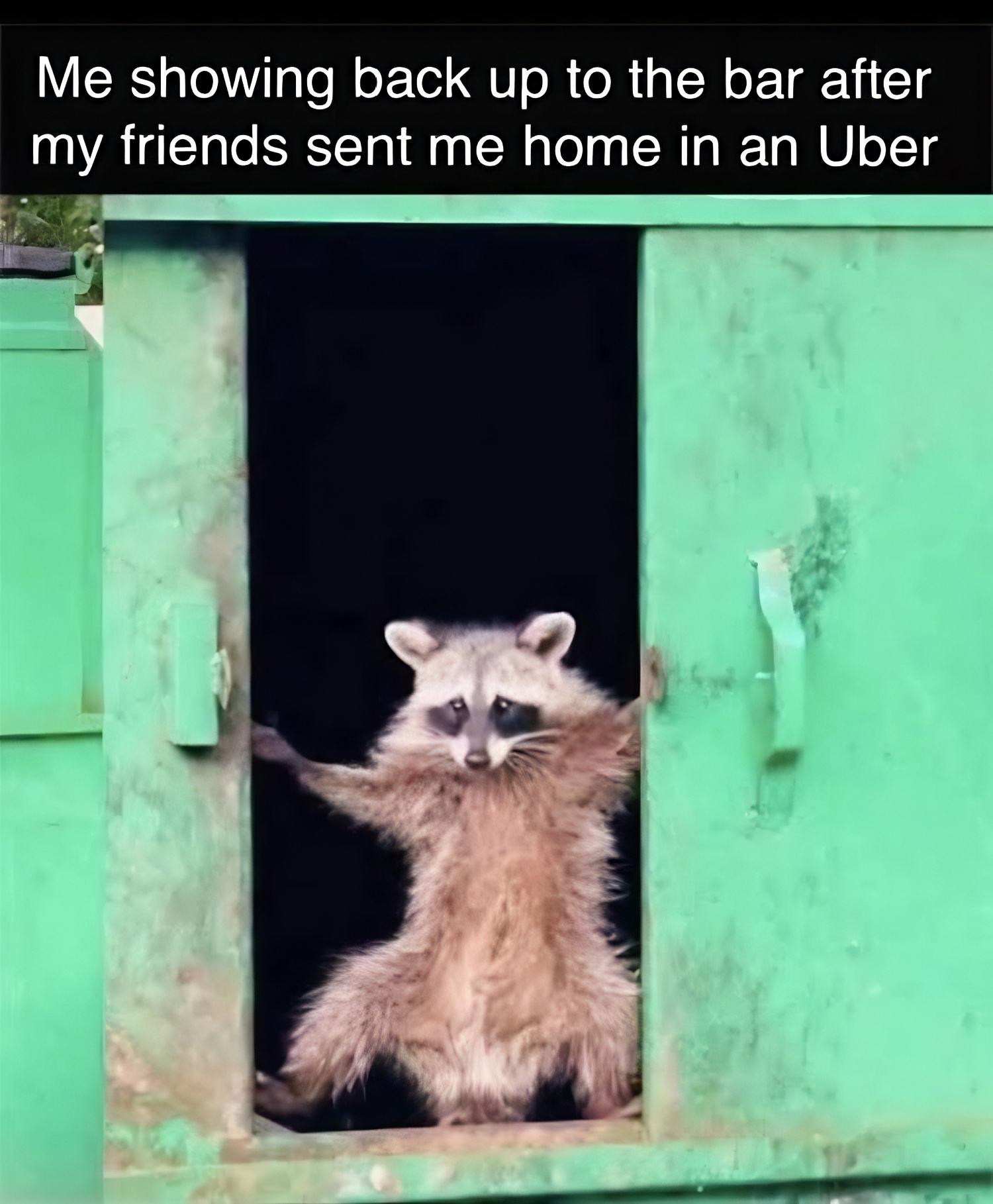 Meme of a raccoon returning through a doorway with the caption about showing back up to the bar after friends sent you home in an Uber