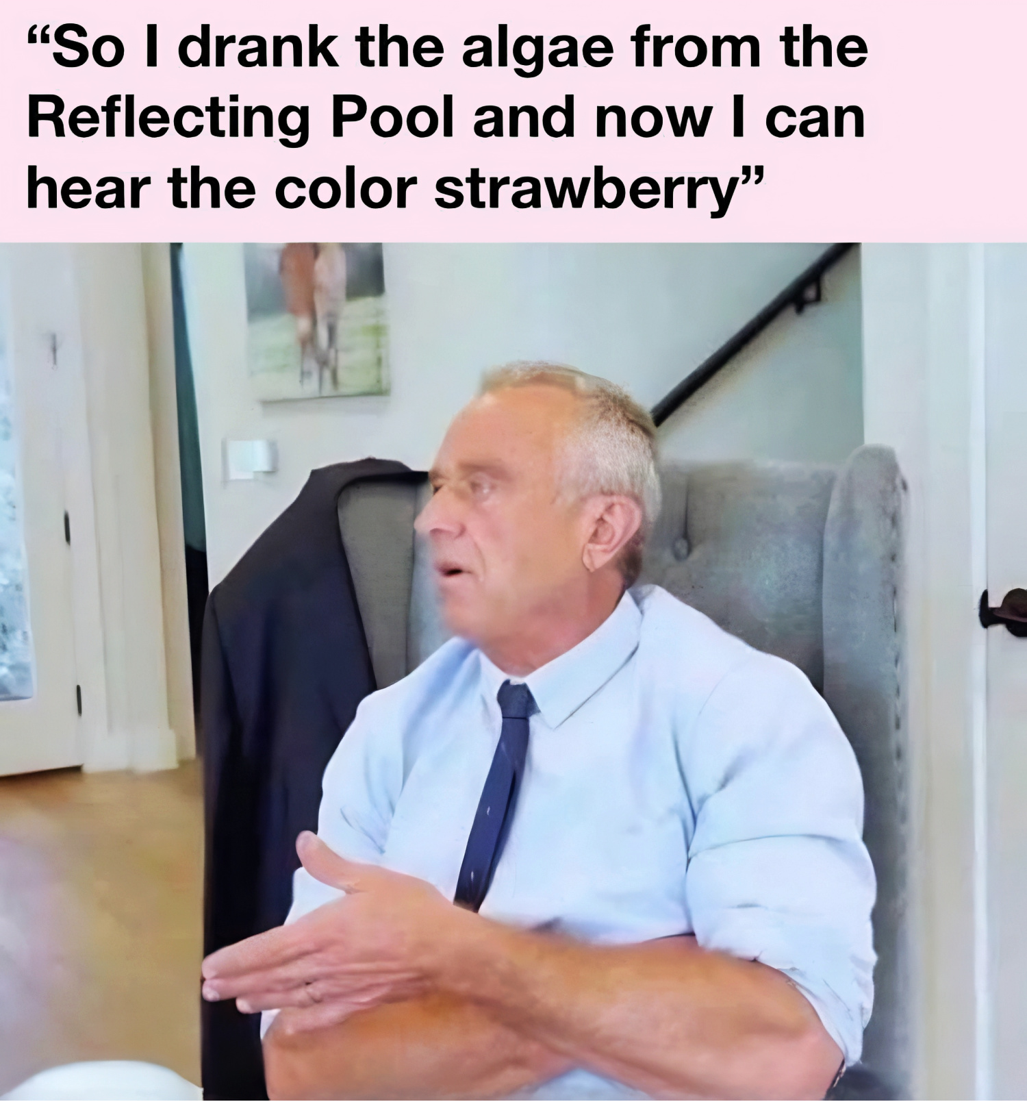 Meme of a RFK jr saying he drank algae from the Reflecting Pool and can hear the color strawberry