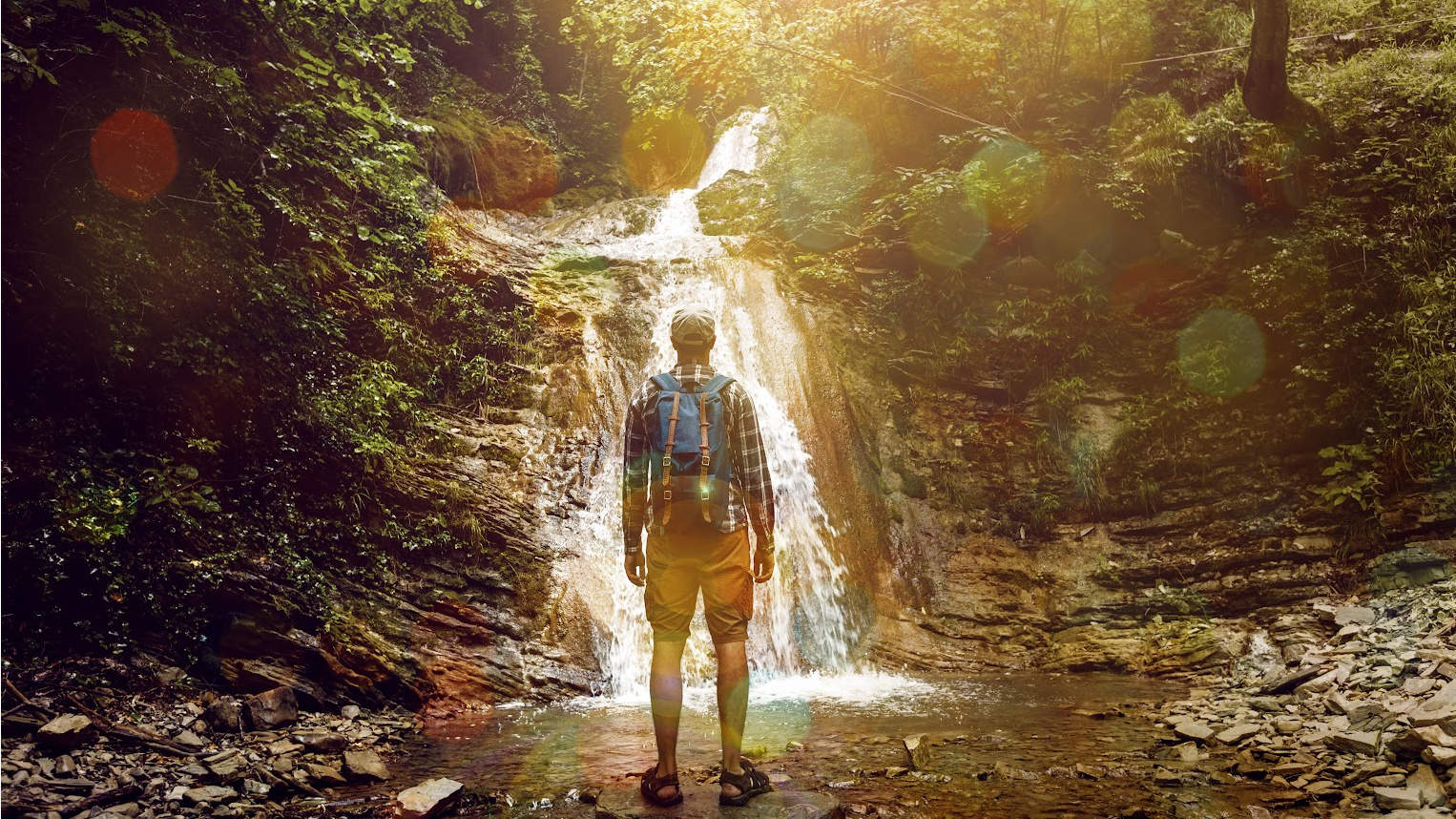 Hiker stands before a forest waterfall in a sunlit woodland setting
