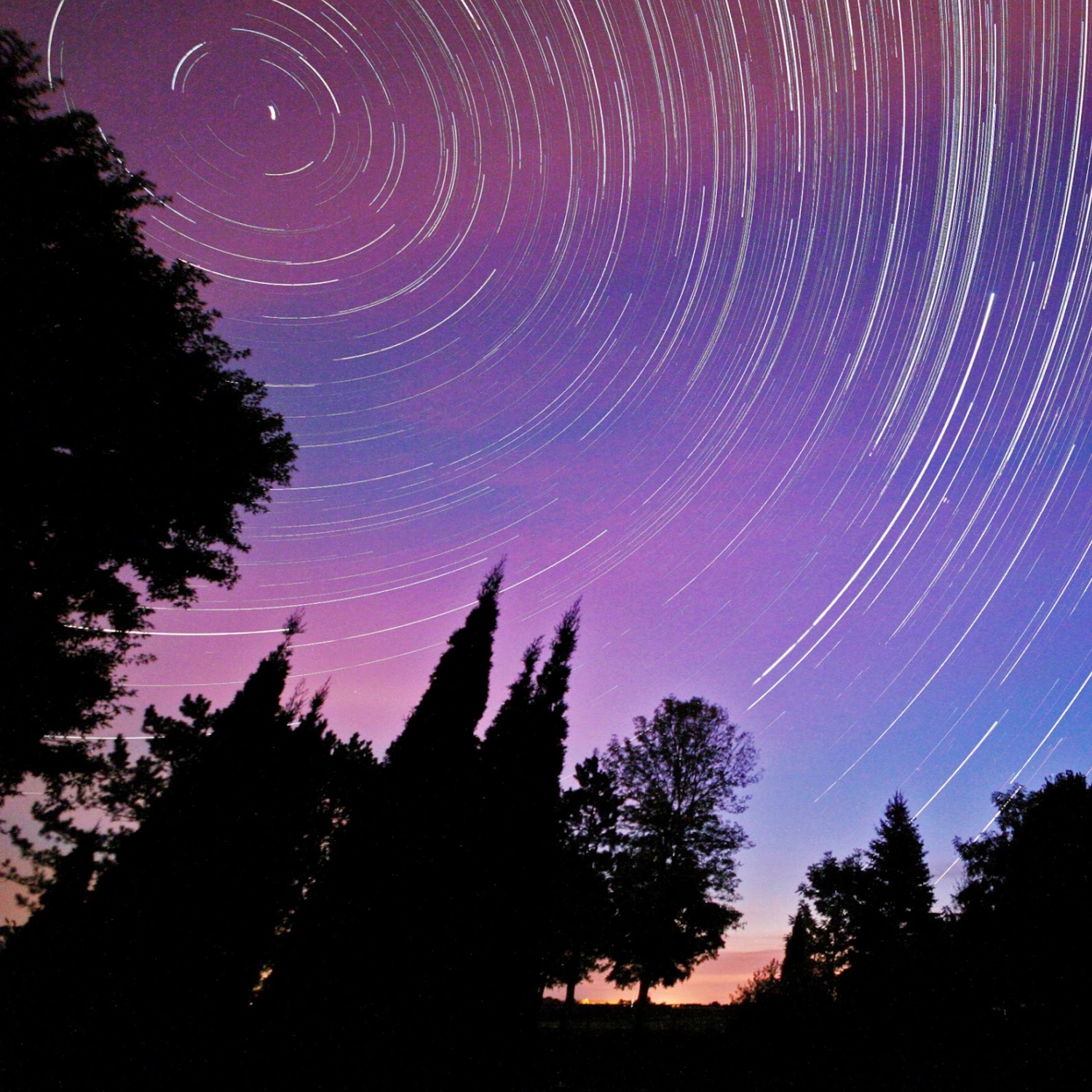 Purple star trails swirl above silhouetted trees at night