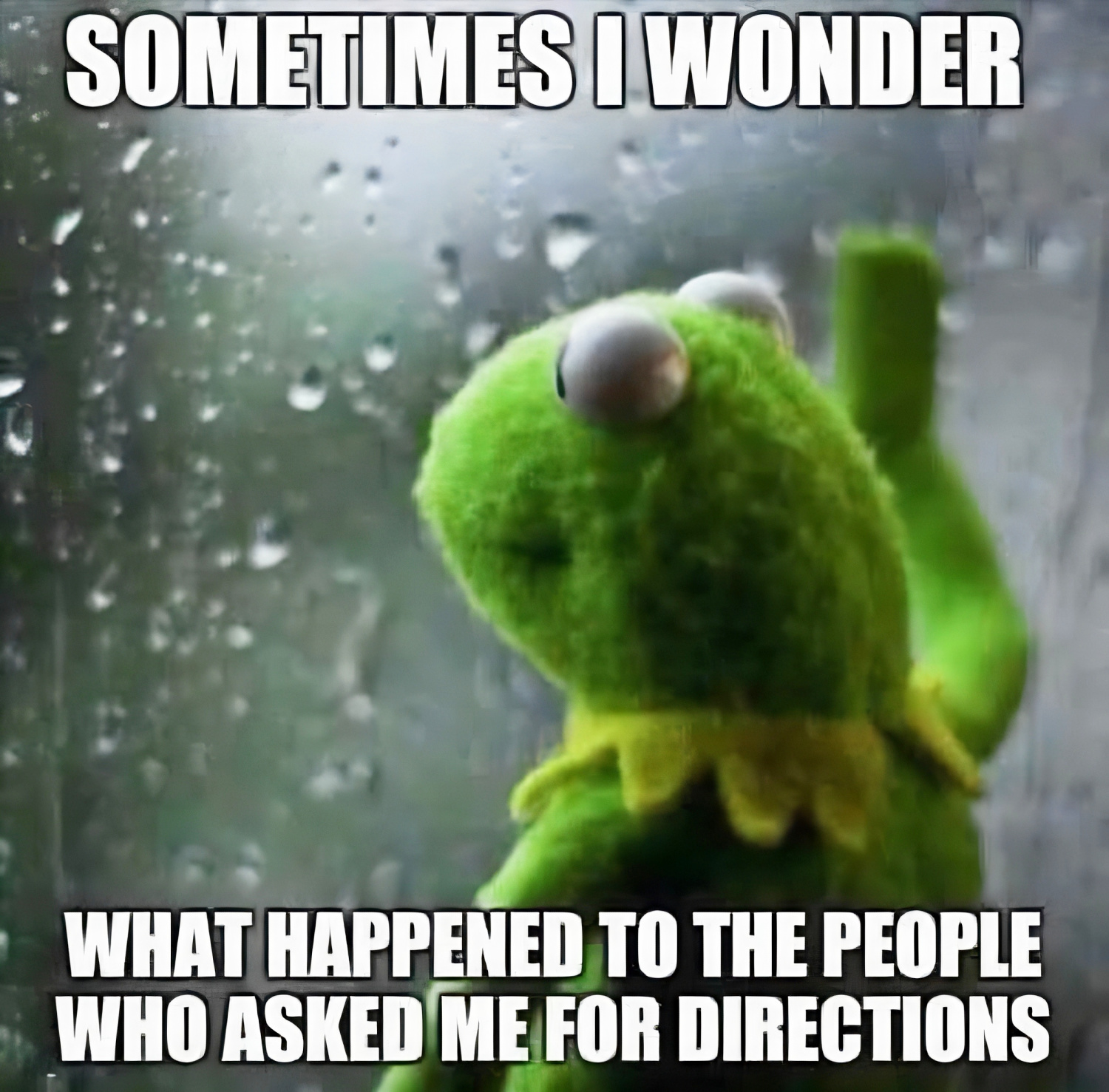 Kermit the Frog looking out a rainy window in a meme that reads, “Sometimes I wonder what happened to the people who asked me for directions.”
