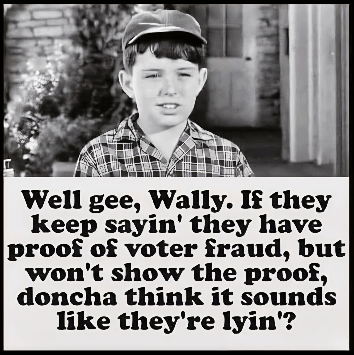 Black-and-white image of a boy with meme text joking, “Well gee, Wally. If they keep sayin’ they have proof of voter fraud, but won’t show the proof, doncha think it sounds like they’re lyin’?”