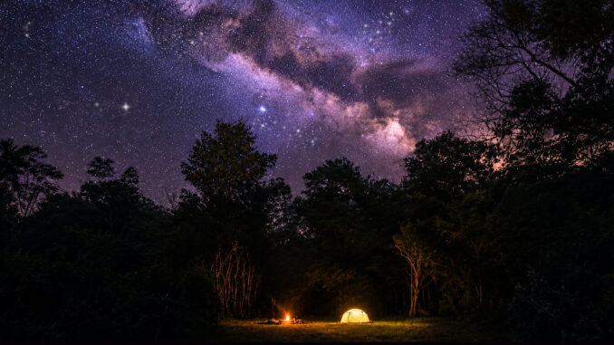 Glowing tent and campfire beneath the Milky Way in a remote forest clearing
