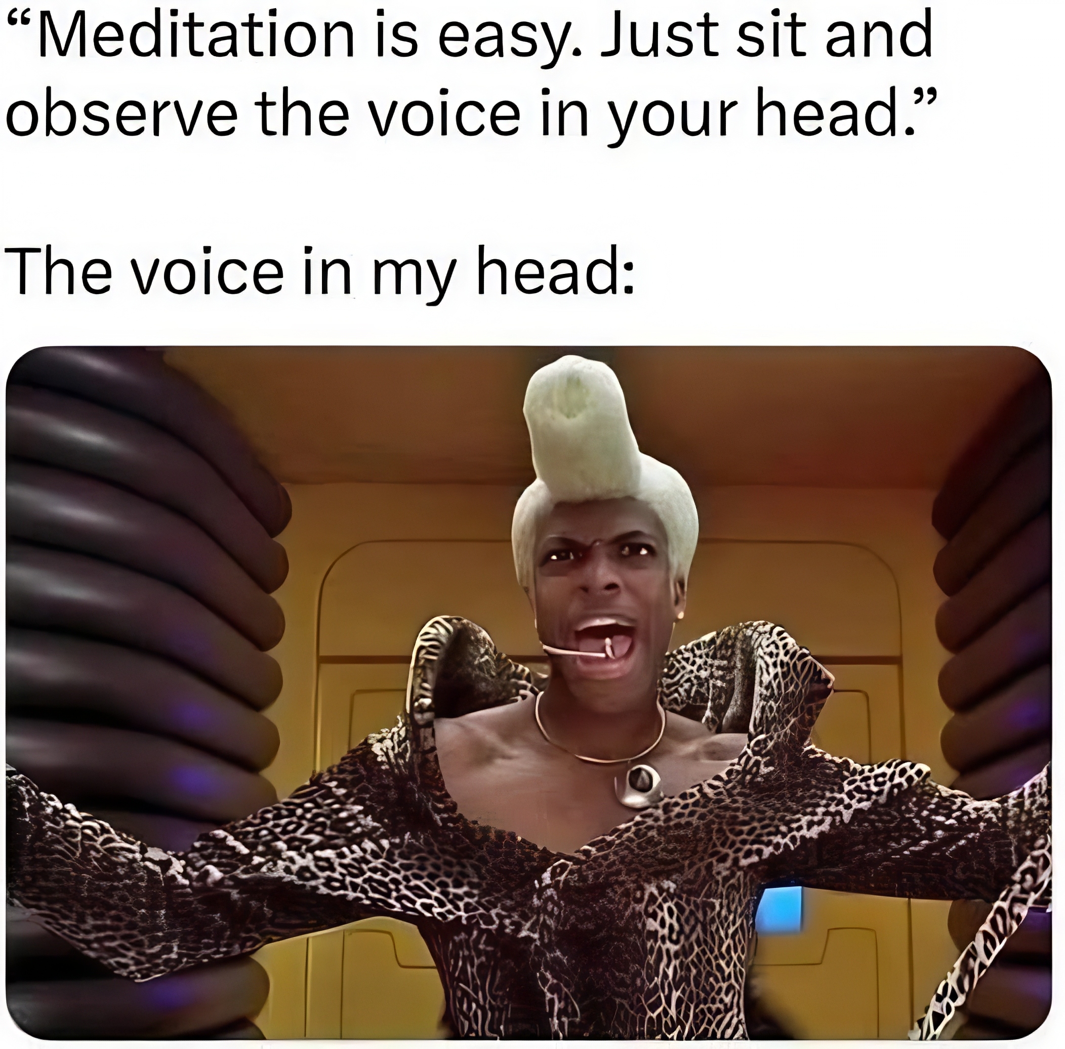 Meditation meme reading, “Meditation is easy. Just sit and observe the voice in your head,” followed by an image of a flamboyantly dressed character screaming.