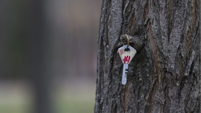 Vintage key hanging from a tree trunk in a wooded setting.