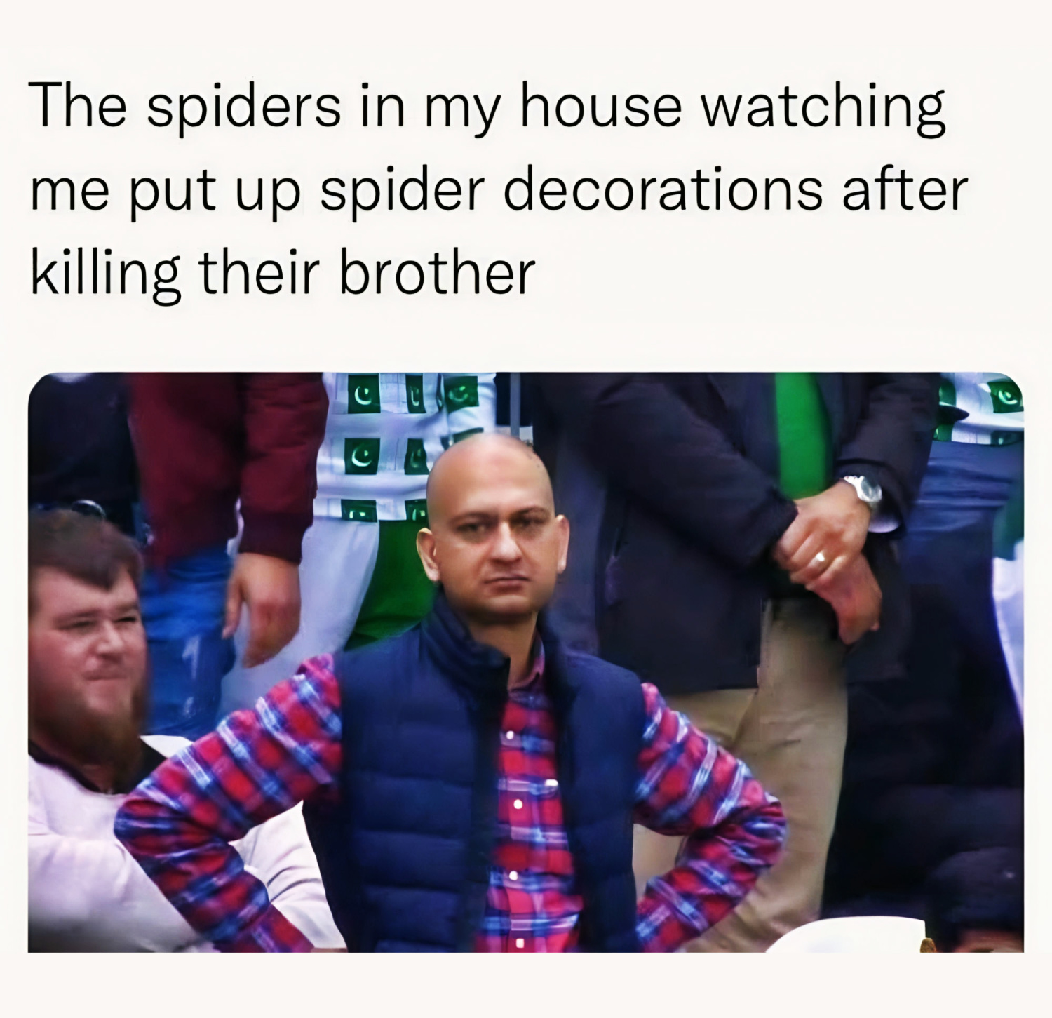 Meme reading, “The spiders in my house watching me put up spider decorations after killing their brother,” over an image of a man looking disapproving.